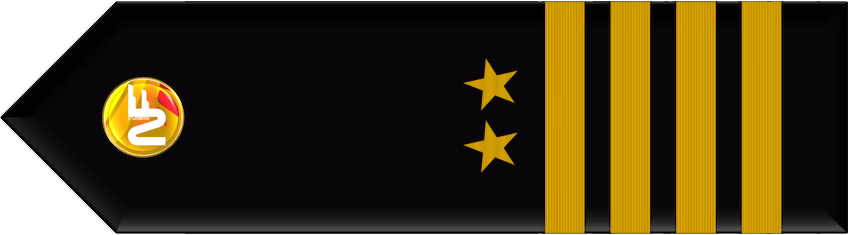 vATPL Commander Gold (Fleet Captain)